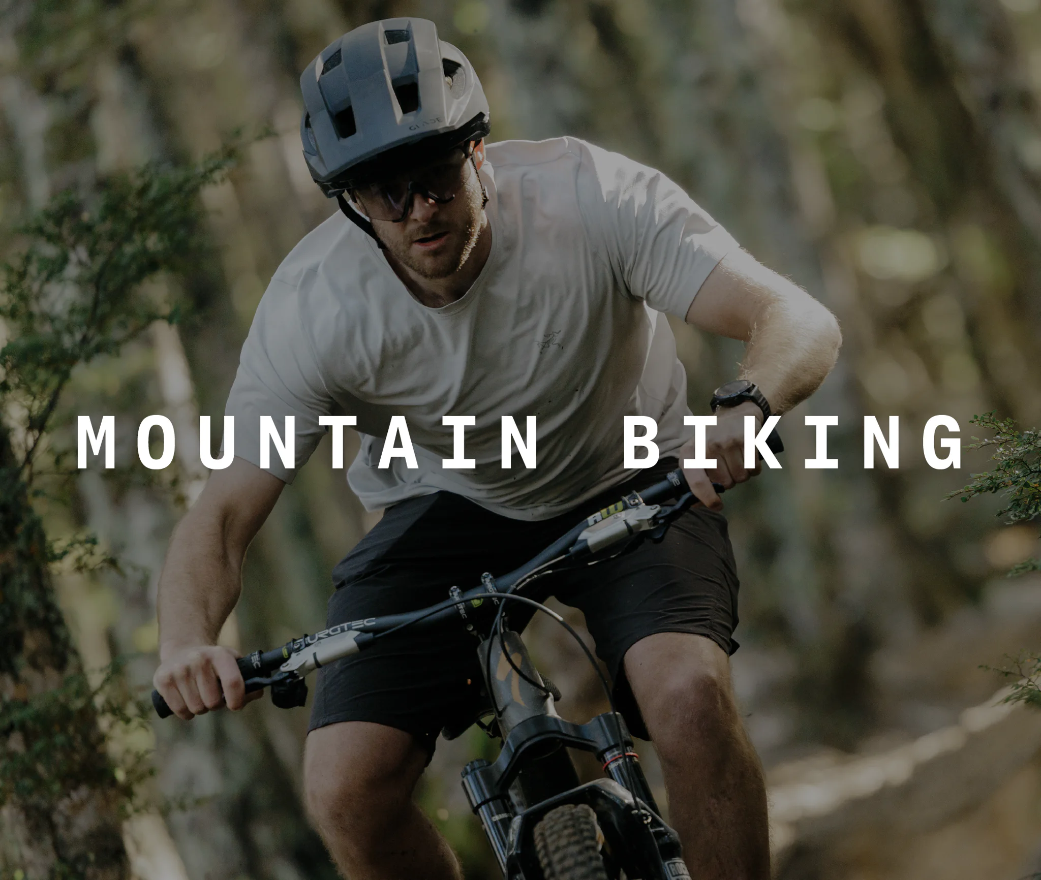 Master the Mountain, Within Reach